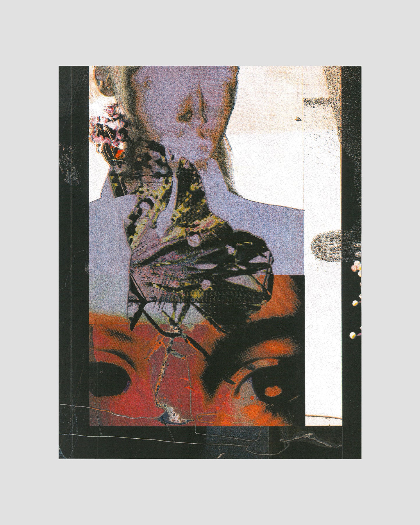 The Fly who couldn’t Fly straight Print