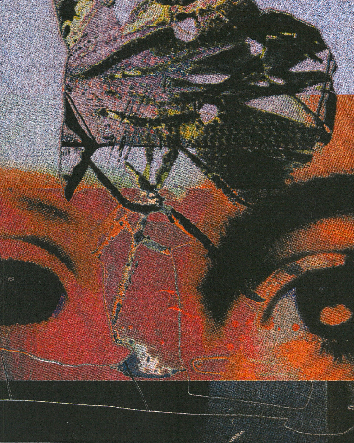 The Fly who couldn’t Fly straight Print