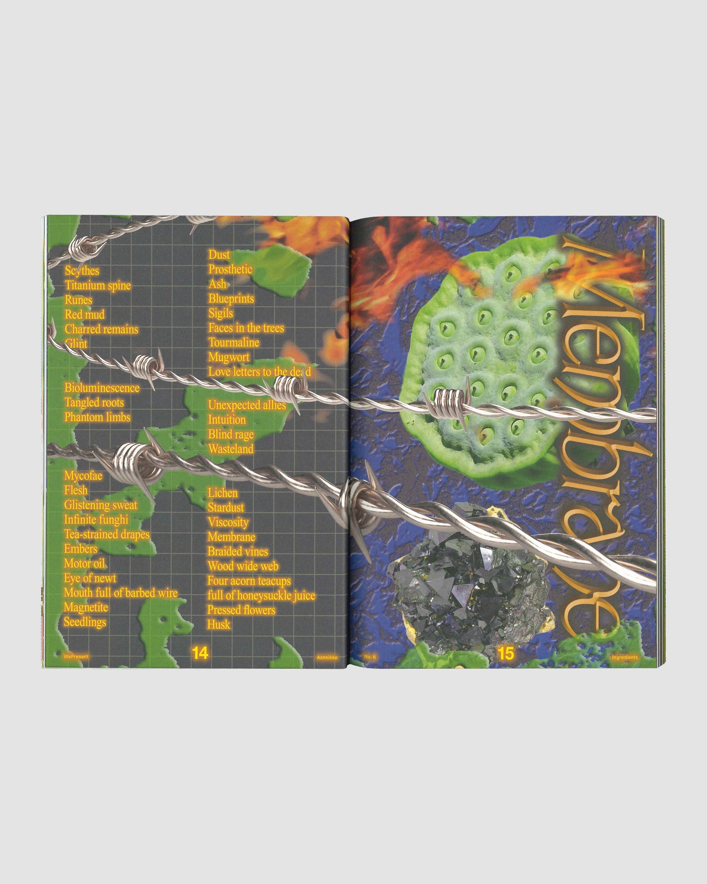 WePresent Issue 6: FISK