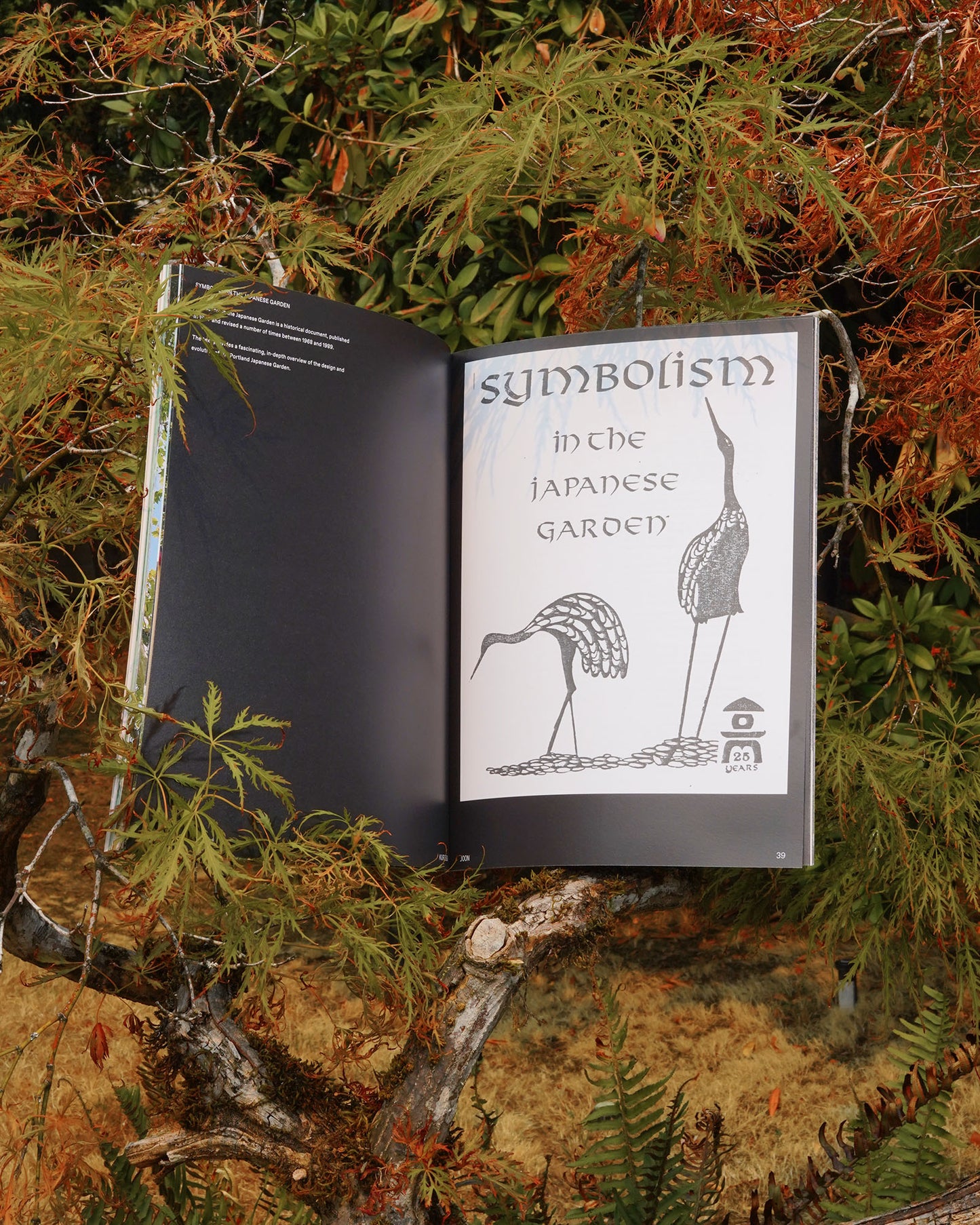 JOON KURISU The Art of Pruning