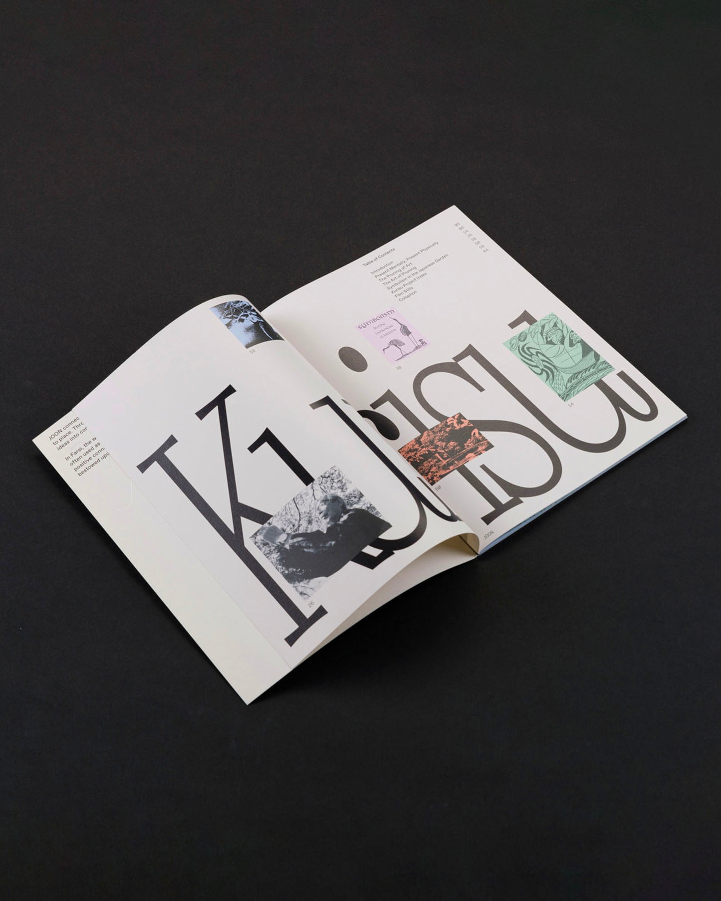 JOON KURISU The Art of Pruning